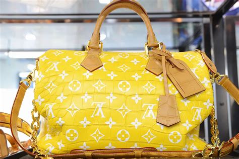 pharrell louis vuitton speedy|louis Vuitton Speedy bag.